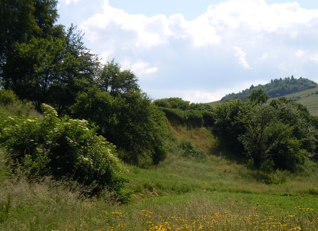 Obrázok 013