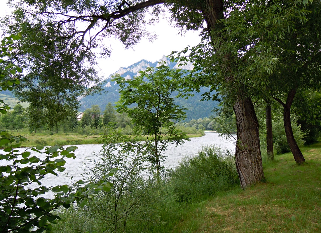 Obrázok 061