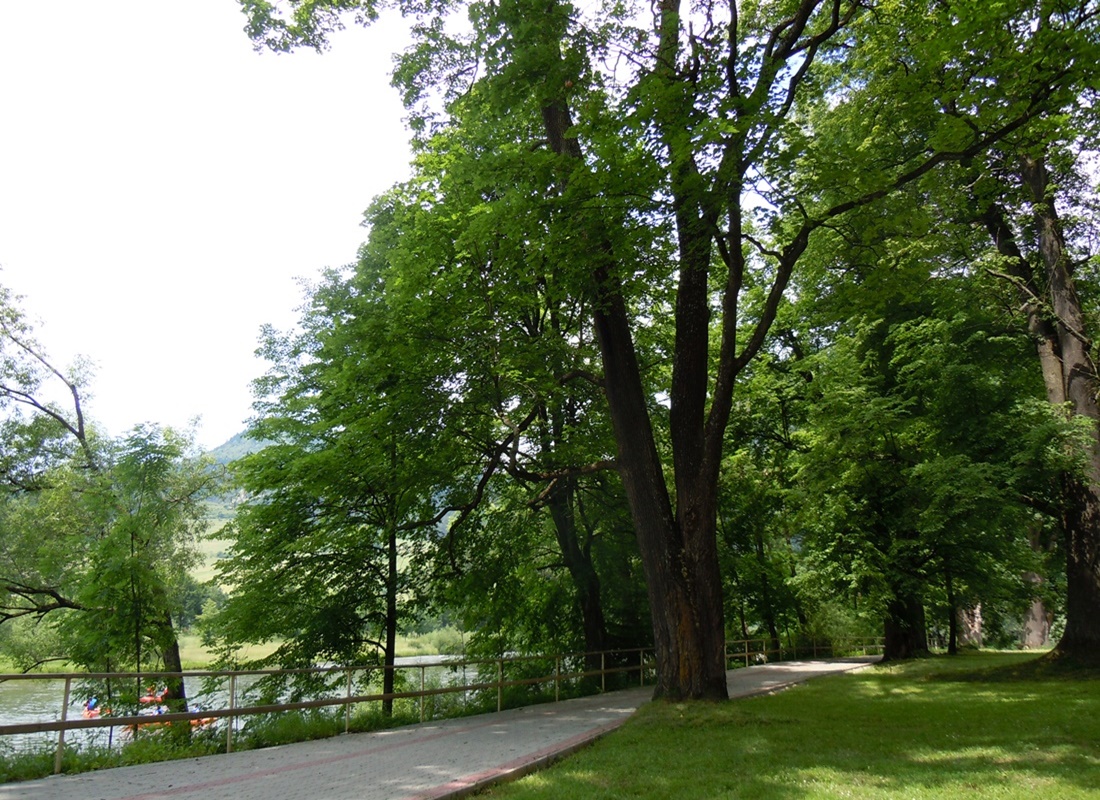 Obrázok 062