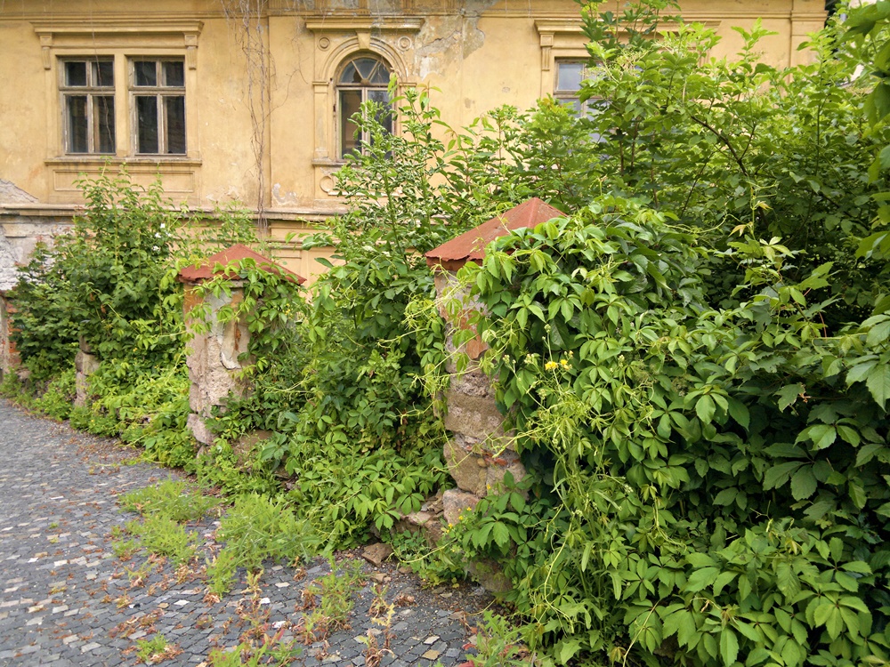 Opustený dom