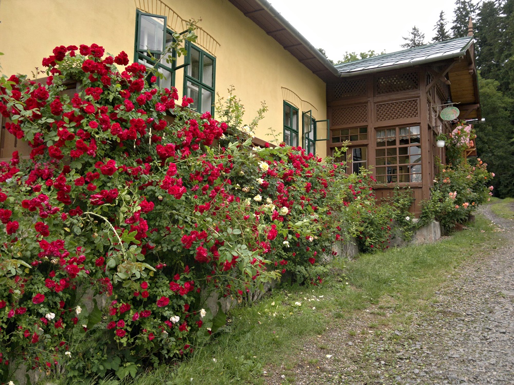 2013-06-26-493